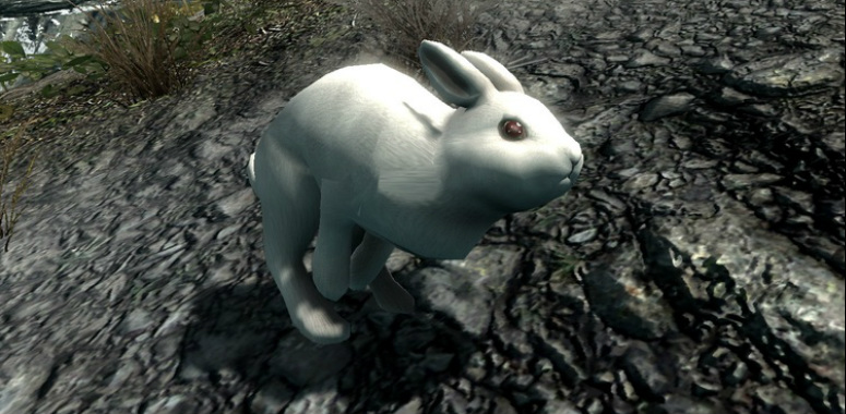 Rabbits of Skyrim