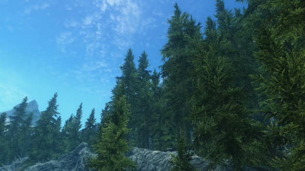 SkySight - Simply Bigger Trees